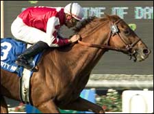 Fourty Niners Son Hits Pay Dirt in Hirsch Turf Fourty Niners Son Hits Pay Dirt in Hirsch Turf
