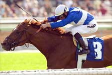 Fourty Niners Son Strikes Gold in San Luis Rey Fourty Niners Son Strikes Gold in San Luis Rey