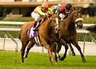 Foxysox Grinds Out Tuzla Handicap Win Foxysox Grinds Out Tuzla Handicap Win