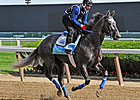 Belmont Stakes News Minute: 06/06/2013