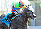 Featured Horse Profile: Frac Daddy