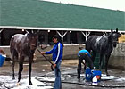Bath Time for Frac Daddy and Java's War