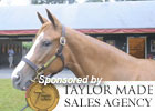 Video: Saratoga Feature 2011 - Frank Taylor Video: Saratoga Feature 2011 - Frank Taylor