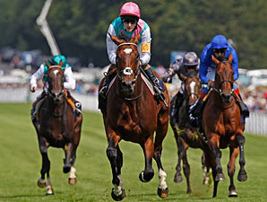Frankel Stays Unbeaten with Sussex Score Frankel Stays Unbeaten with Sussex Score