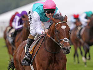 Frankel Facing Up to Seven in QIPCO Sussex Frankel Facing Up to Seven in QIPCO Sussex