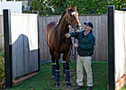 Frankel Returns to Birthplace 