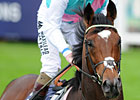 Frankel Again Cartier Horse of the Year