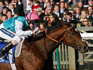 Frankel Pulls Away from European Competition Frankel Pulls Away from European Competition