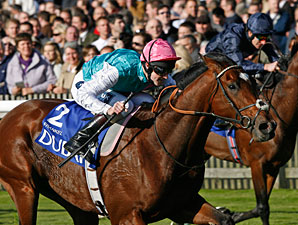 Frankel Fantastic in Dewhurst Romp Frankel Fantastic in Dewhurst Romp
