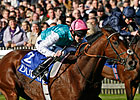 Frankel Fantastic in Dewhurst Romp