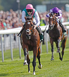 Lucky 13: Frankel Rolls in Juddmonte Int'l Lucky 13: Frankel Rolls in Juddmonte Int'l