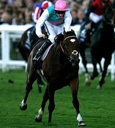 Frankel Rolls to Ninth Straight Win in QE II Frankel Rolls to Ninth Straight Win in QE II