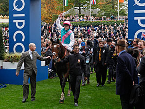 Frankel Secures Place in History at Ascot Frankel Secures Place in History at Ascot