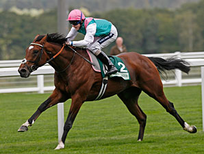 Fabulous Frankel Dominates Royal Lodge Stakes Fabulous Frankel Dominates Royal Lodge Stakes