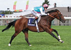 Slideshow: Frankel