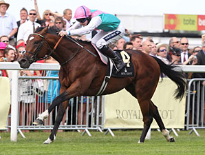 Frankel Hangs on to Win St. James's Palace Frankel Hangs on to Win St. James's Palace