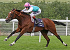 Frankel Blows Away Canford Cliffs in Sussex Frankel Blows Away Canford Cliffs in Sussex