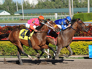 McPeek Sets Plans For Talented 3YOs McPeek Sets Plans For Talented 3YOs