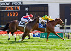 Free Fighter Outfights Brass Hat at Arlington