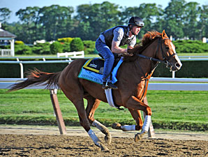 Malibu Moon Boasts Two Belmont Starters Malibu Moon Boasts Two Belmont Starters