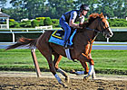 Malibu Moon Boasts Two Belmont Starters Malibu Moon Boasts Two Belmont Starters