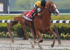 Peter Pan Winner Freedom Child in Brisk Move