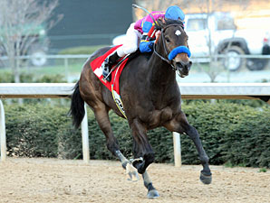 Front-Running Freedom Star Dominates Azeri Front-Running Freedom Star Dominates Azeri