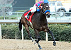 Front-Running Freedom Star Dominates Azeri