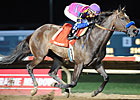 Fast Fillies Lined Up for Chilukki Stakes