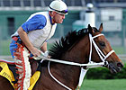 Friesan Fire Favored in Early Wagering