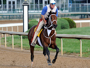 Friesan Fire Given Green Light for Preakness Friesan Fire Given Green Light for Preakness