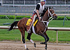 Friesan Fire 7-2 Derby Favorite