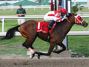 Friesan Fire Returns to Races at Fair Grounds Friesan Fire Returns to Races at Fair Grounds