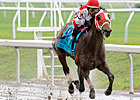 Friesan Fire Dominates Louisiana Derby Friesan Fire Dominates Louisiana Derby