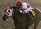 Friesan Fire is Louisiana Derby Choice