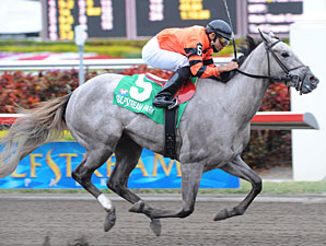 Frolic's Dream Sails to Victory Frolic's Dream Sails to Victory
