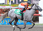 Frolic's Dream Sails to Victory