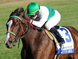 Fugitive Angel Makes the Grade in Valley View Fugitive Angel Makes the Grade in Valley View