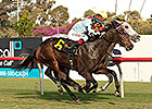 Patience Pays as Full Ransom Upsets Miesque Patience Pays as Full Ransom Upsets Miesque