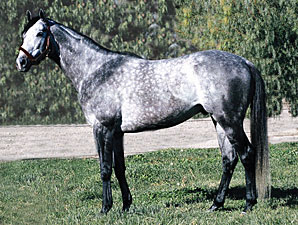 Fullbridled to Phoenix Farm in Kentucky Fullbridled to Phoenix Farm in Kentucky