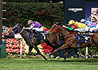 Draws Doom U.S. Hopes in HK Jockey Challenge Draws Doom U.S. Hopes in HK Jockey Challenge