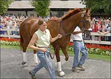 NYRA Planning 'Funny Cide Day' at Saratoga NYRA Planning 'Funny Cide Day' at Saratoga
