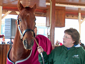 Funny Cide to Appear at Ellis Park Opener Funny Cide to Appear at Ellis Park Opener