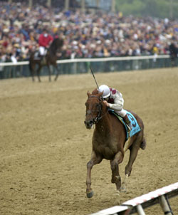 Funny Cide Dealing With Soreness Issues Funny Cide Dealing With Soreness Issues