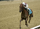 Funny Cide Dealing With Soreness Issues Funny Cide Dealing With Soreness Issues