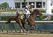 Sweetnorthernsaint Could Join Ranks of Geldings that Won Derby Sweetnorthernsaint Could Join Ranks of Geldings that Won Derby