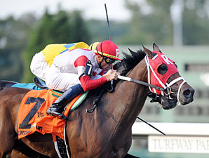 Some Funds Allocated for Possible KY Cup Some Funds Allocated for Possible KY Cup