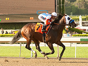 Californian: Fury Kapcori Seeks 5th Straight Californian: Fury Kapcori Seeks 5th Straight