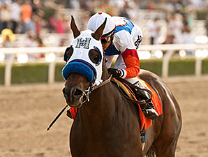 Fury Kapcori Unchallenged in Precisionist Win Fury Kapcori Unchallenged in Precisionist Win