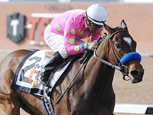 Oaks: Workouts and Churchill Arrivals Oaks: Workouts and Churchill Arrivals